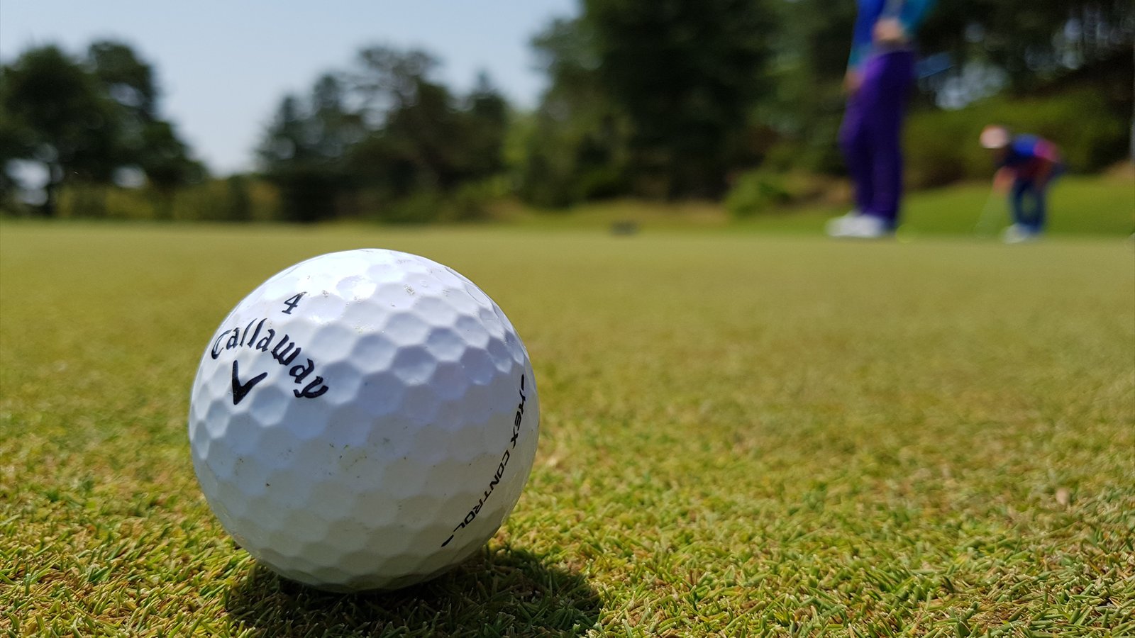 A white golf ball rests on short grass while blurred golfers stand near a green in the distance.