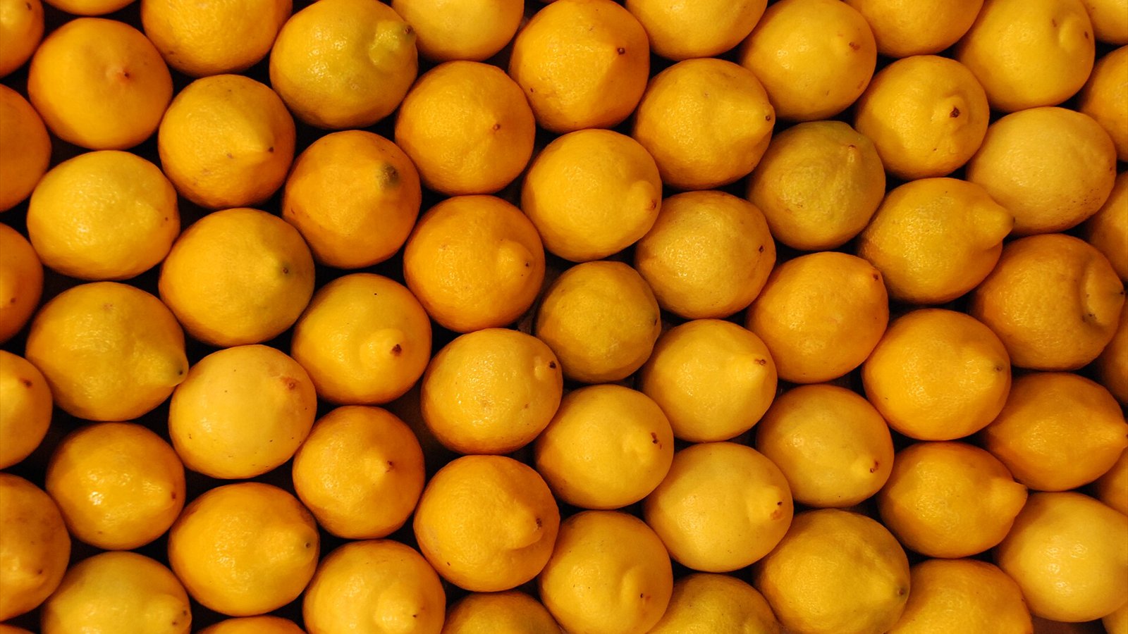An arrangement of lemons seen at St. Joseph Market in Barcelona, Spain.