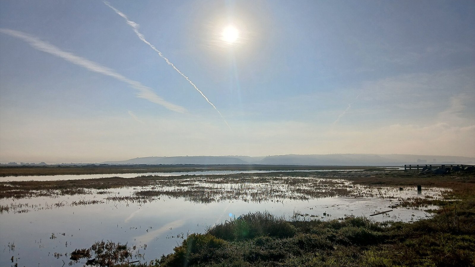 Tijuana Estuary, photo taken in the morning of the day. (December of 2025, Imperial Beach)