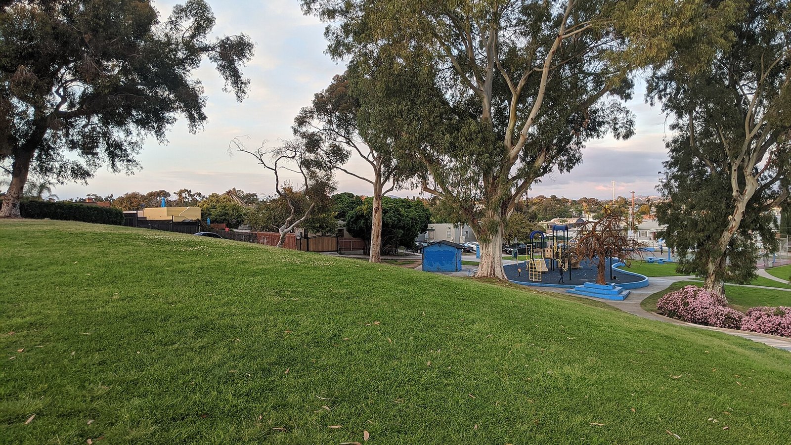 park