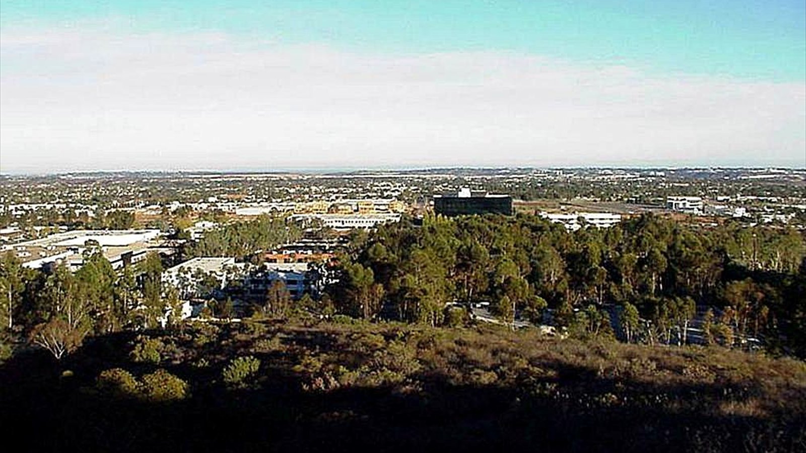 An elevated view looks across trees and low-rise buildings in Mira Mesa toward the horizon.