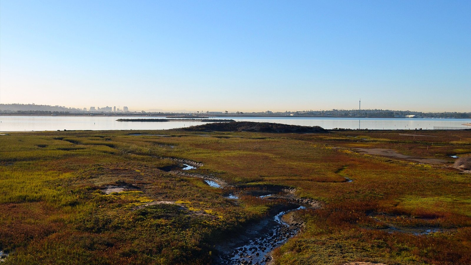 This gorgeous coastal salt marsh in San Diego was originally 1,700 acres. Today, 40 acres remain. Salt marshes and wetlands are important for wildlife, provide flood control, reduce storm damage of adjacent properties…