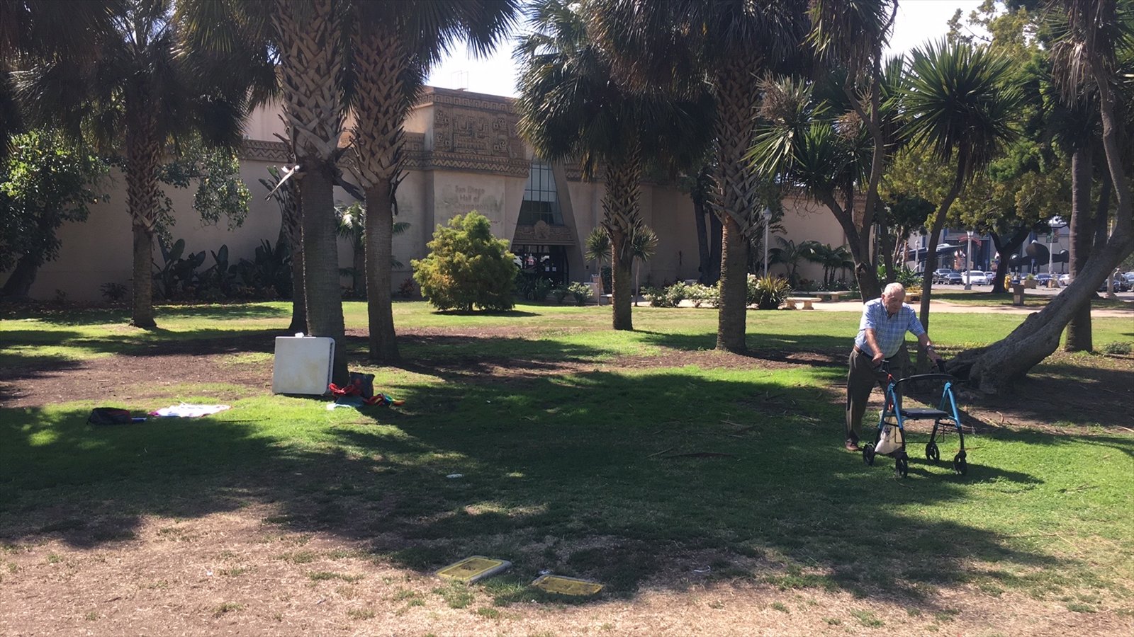 An older man pushes a blue walker across a grassy area of Balboa Park beneath tall palm trees.