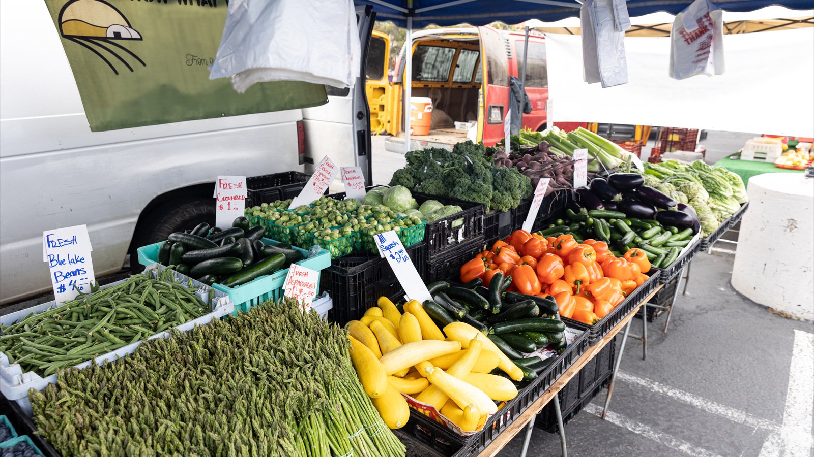 Baskets and crates hold leafy greens, squash, carrots and other vegetables at an outdoor market display.