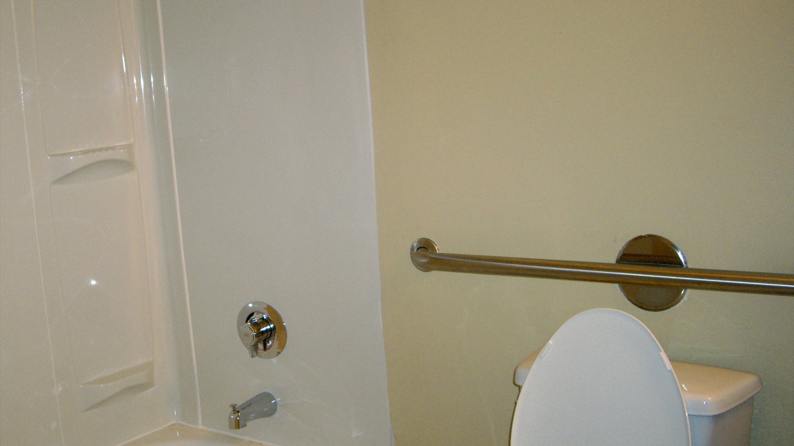 A bathroom has a metal grab bar beside a toilet and another bar next to a shower.