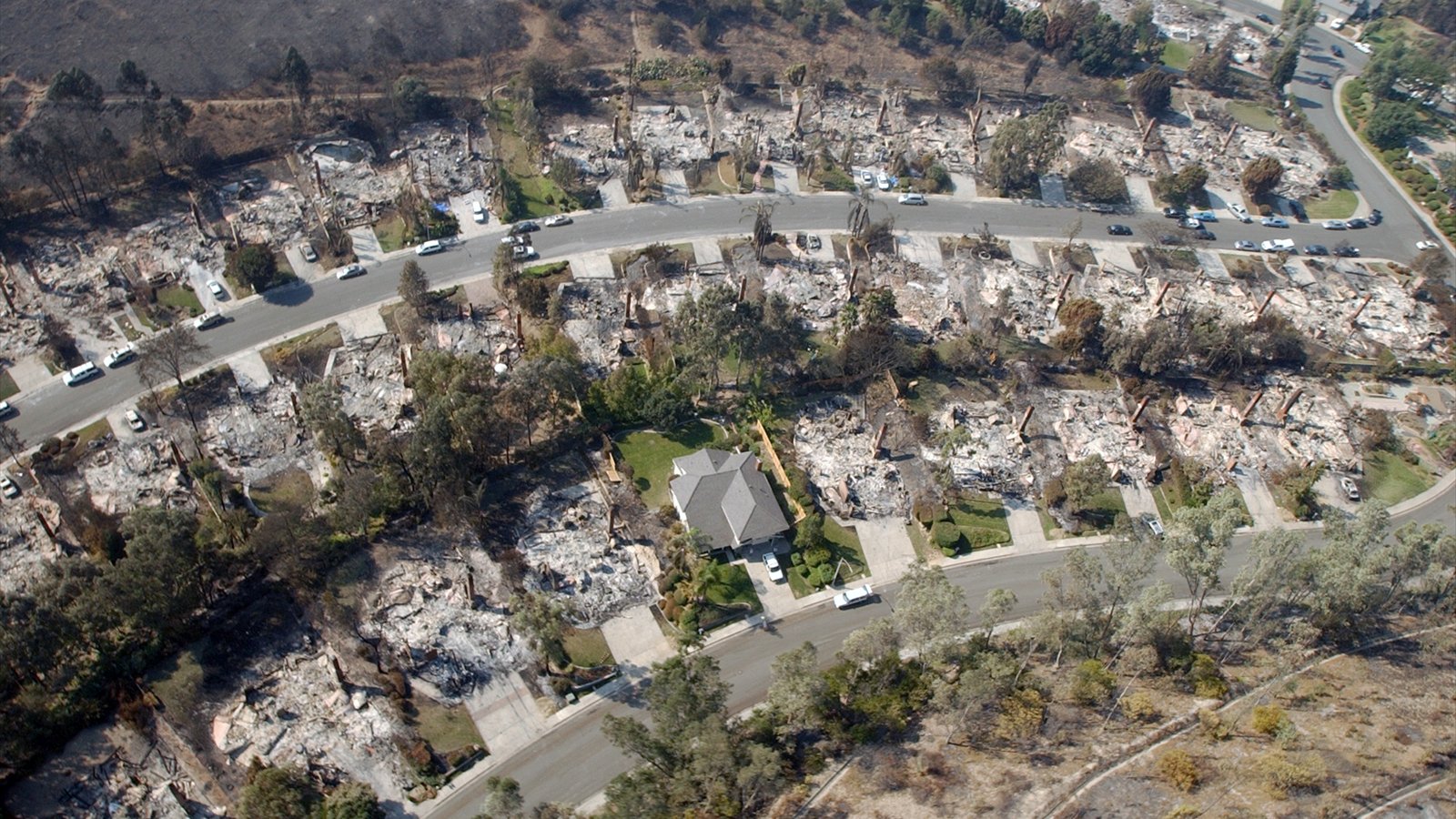 An aerial view shows burned homes, blackened trees and a few surviving houses along winding neighborhood streets.