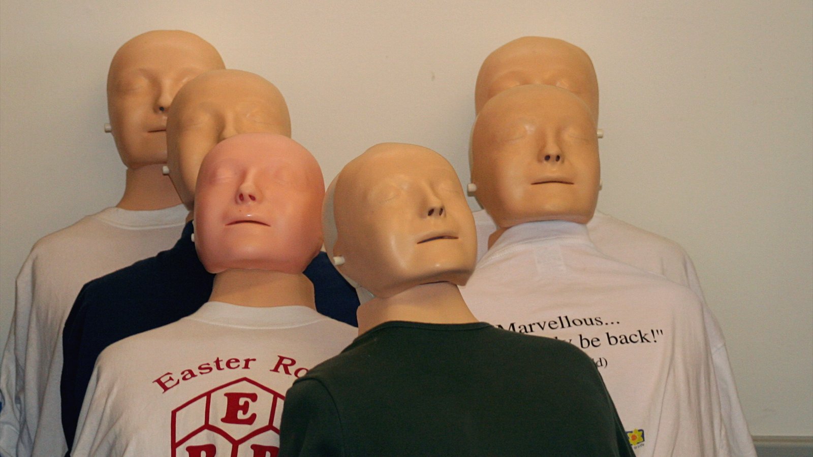 Three torso-shaped CPR training manikins lie side by side on a table.