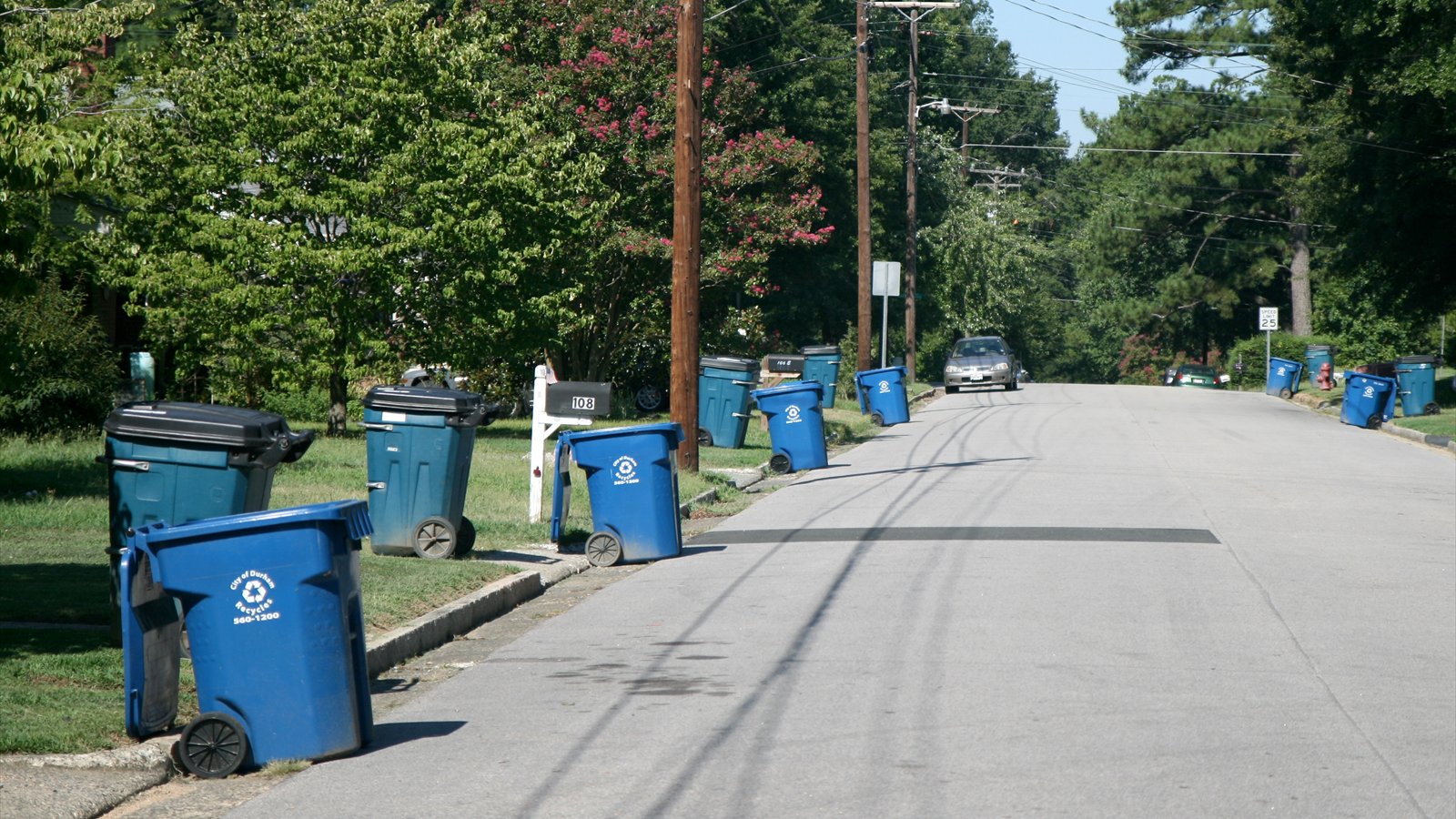Green, blue and brown wheeled trash bins stand in a row beside a residential curb.