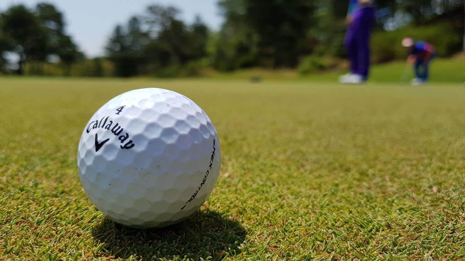 A white golf ball rests on short grass near a putting green and flagstick.