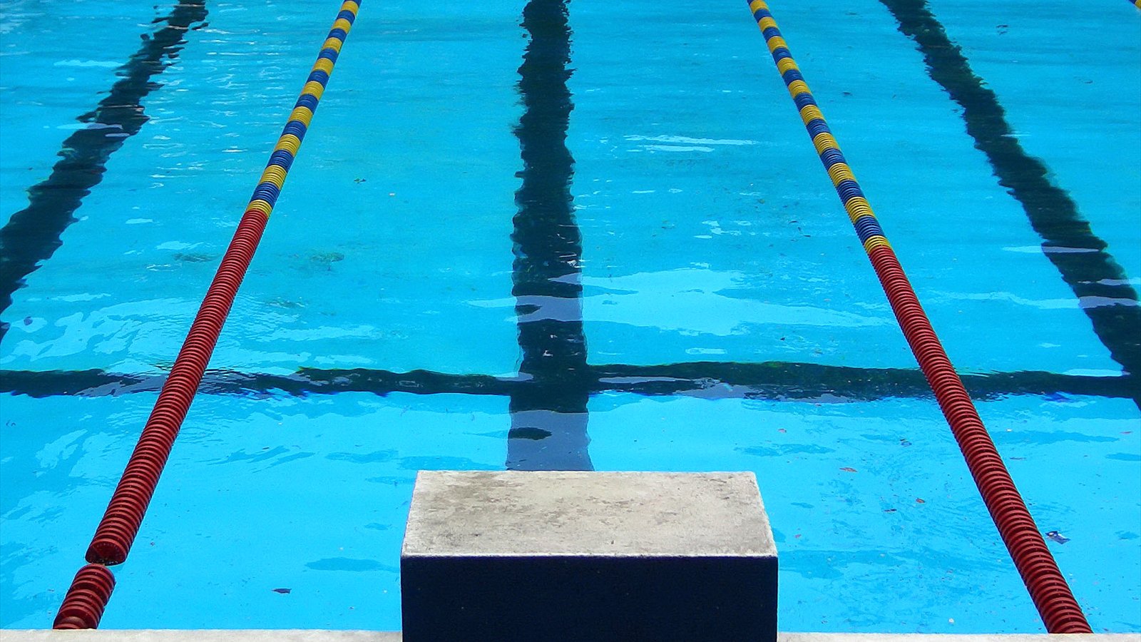 A swimmer dives from a starting block into a blue competition pool as an official watches.