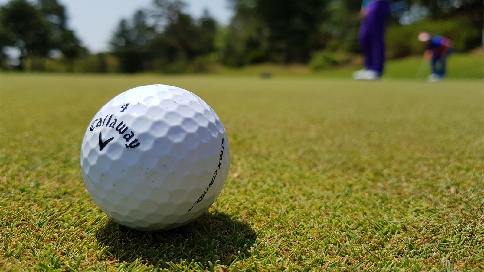 A white golf ball rests on short grass while blurred players stand near a green in the distance.