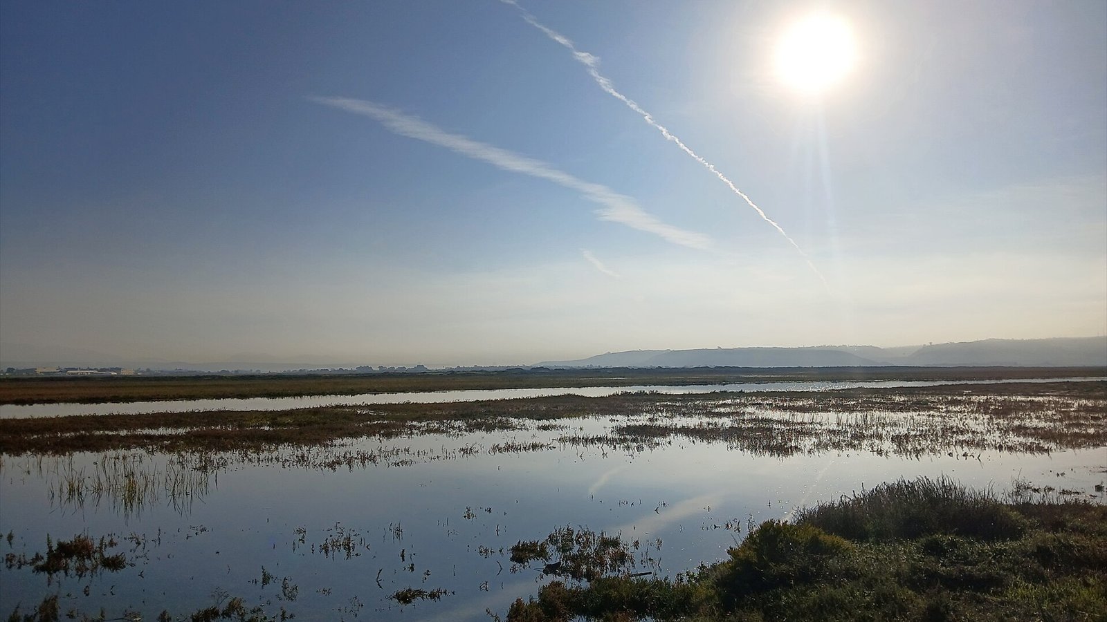 Tijuana Estuary, photo taken in the morning of the day. (December of 2025, Imperial Beach)
