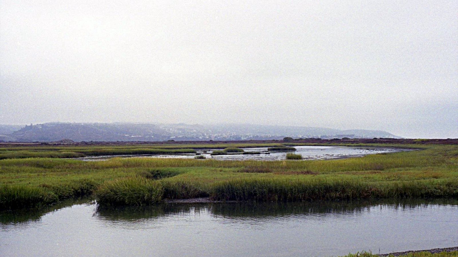 Marsh grasses and winding tidal channels spread across the Tijuana River Estuary beneath a hazy sky.