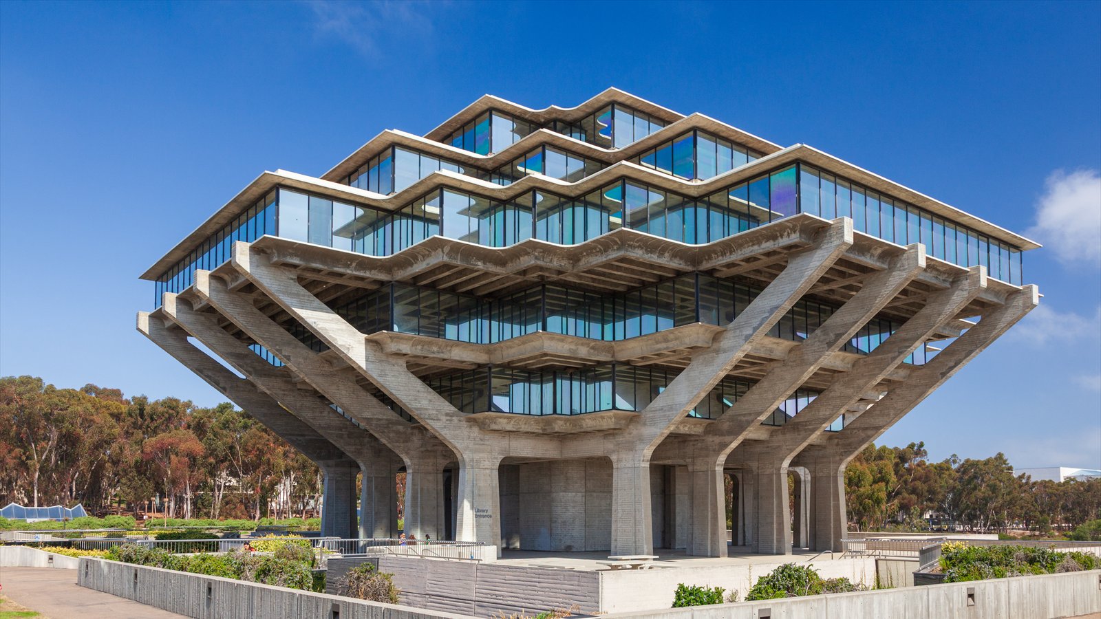 Geisel Library's concrete upper floors rise above trees on the UC San Diego campus.