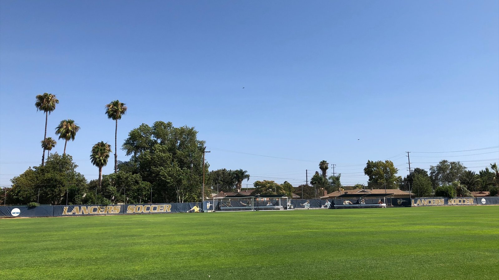 A green soccer field is bordered by Lancers Soccer banners, palms and low buildings beneath a wide clear sky in Riverside.